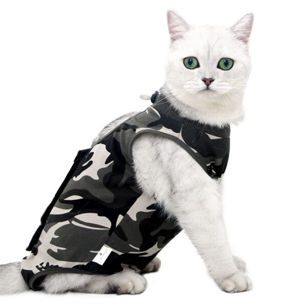 Cats Wearing Breathable And Breasted Clothes After Surgery - Image 6