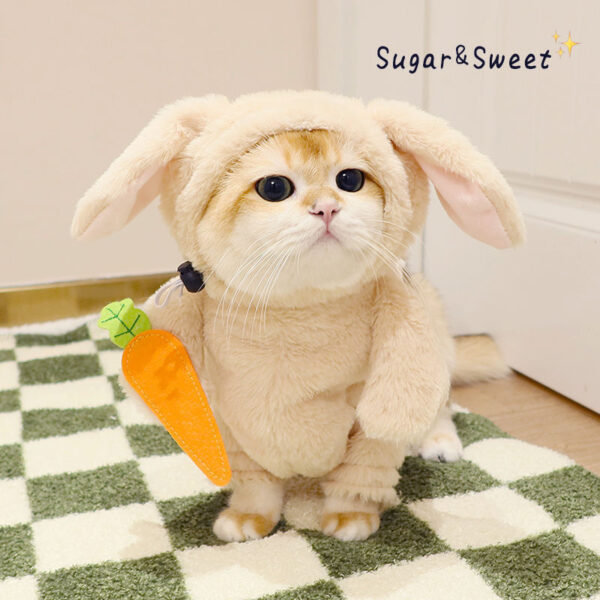 Cat Costume Rabbit Pet Leash Carrot Funny - Image 5