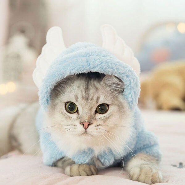 Cat clothes kitten cat cute funny pet - Image 5