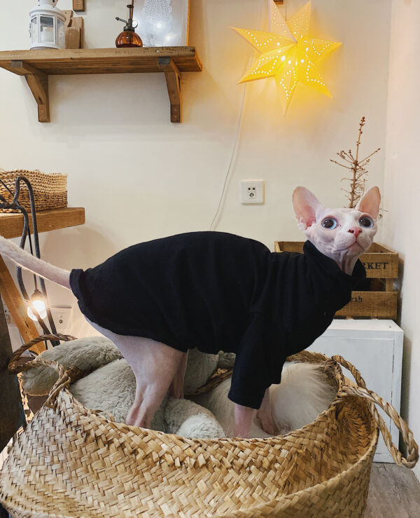 Hairless cat cotton hypoallergenic T-shirt - Image 4