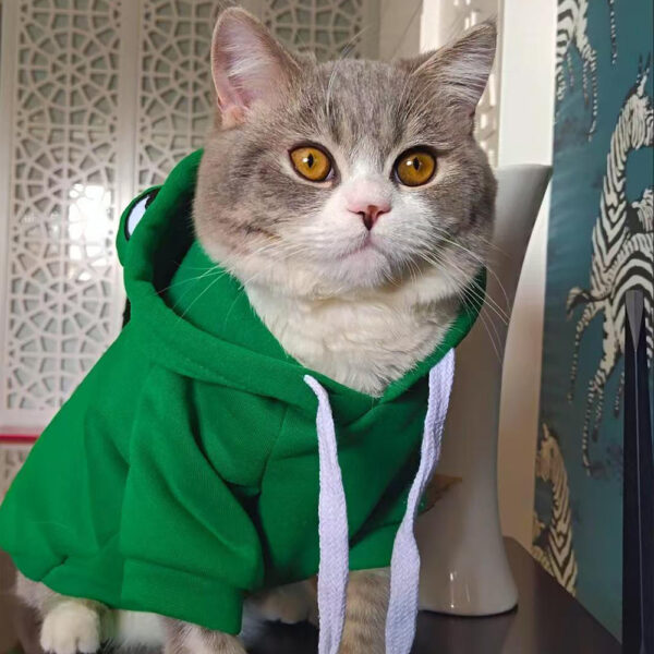 Soft Warm Cat Clothes For Small Dogs Cats Funny Halloween Cosplay Frog Costume Kitten Creative Sweatshirts Pet Autumn Hoodies - Image 8