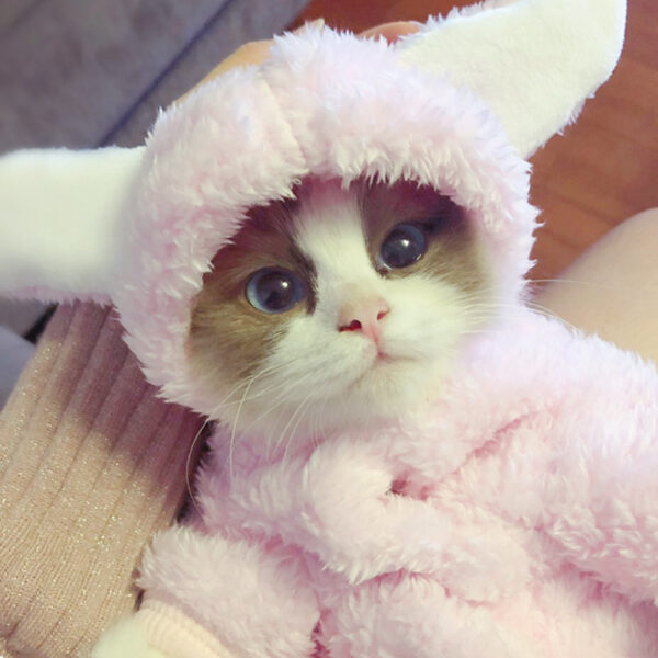 Cat clothes kitten cat cute funny pet - Image 3