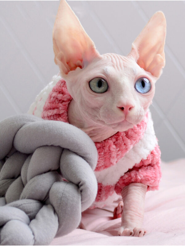 Hairless Cat Winter Thicken Warm Cotton Sweater - Image 4