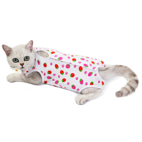 Cat Clothes Spring And Summer Thin Female Cat Clothes Anti-Licking Clothes Cat Clothes Summer Clothes - Image 3