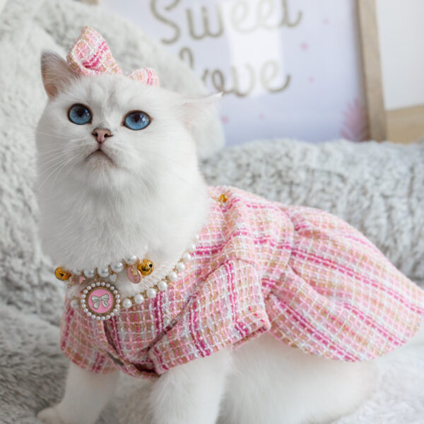 Dog Cat Pet Clothes Suit - Image 3