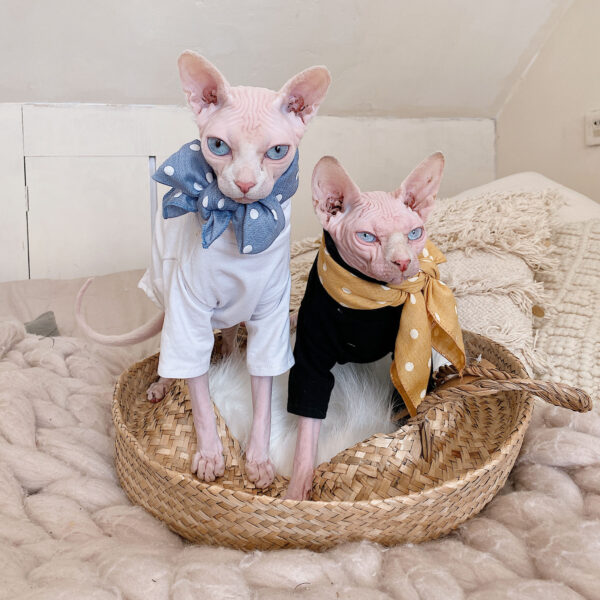 Hairless cat cotton hypoallergenic T-shirt - Image 3