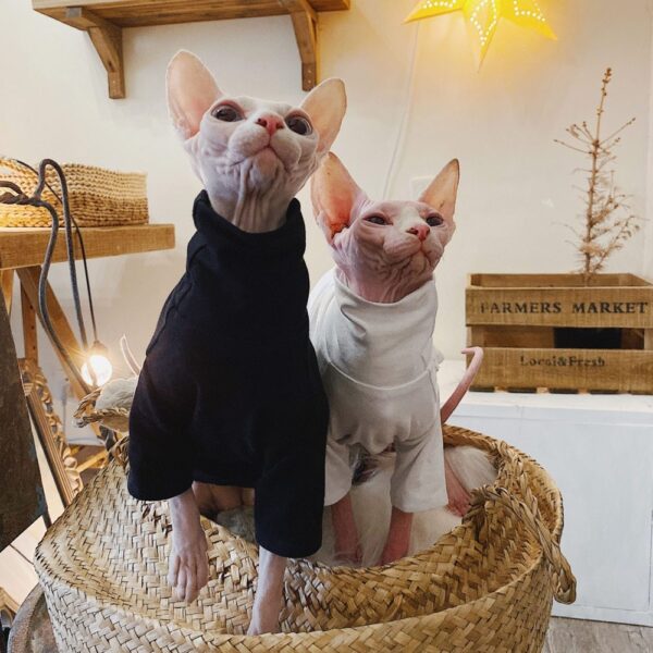 Hairless cat cotton hypoallergenic T-shirt