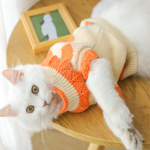 Cat Clothes For Fall Kittens To Prevent Shedding - Image 4