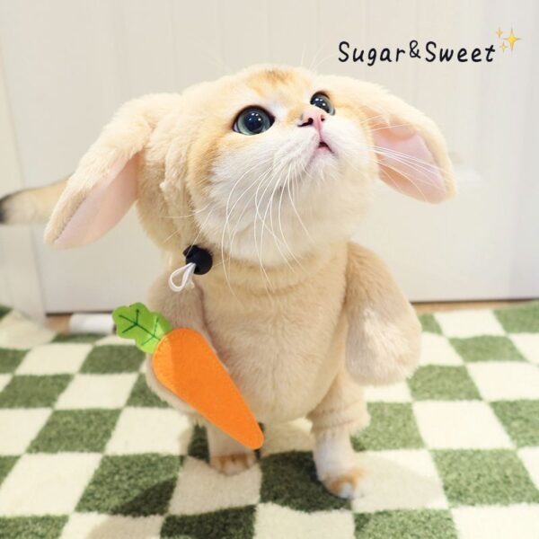 Cat Costume Rabbit Pet Leash Carrot Funny - Image 6