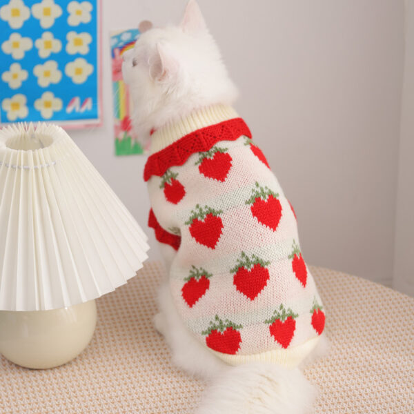 Cat Clothes For Fall Kittens To Prevent Shedding - Image 6