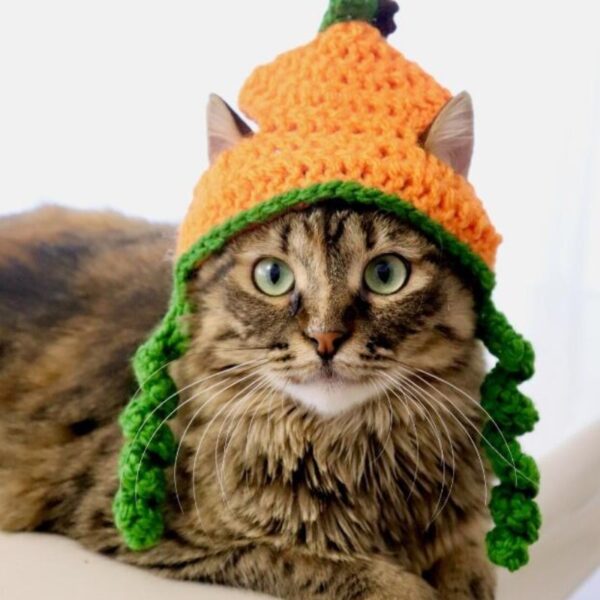 Halloween Cat Dog Knitted Pet Hat - Image 2