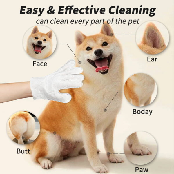 Pet Disposable Gloves Cat Dog Cleaning Dry Cleaning Gloves Pet Products - Image 7