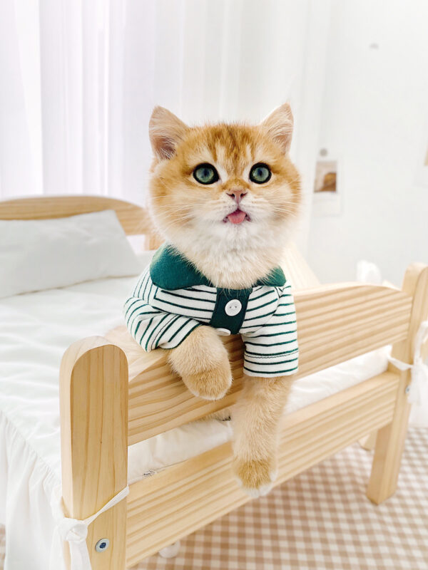 Cute Striped Polo Shirt Cat Clothes - Image 4