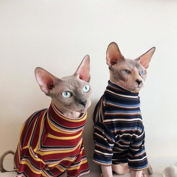 Retro couple pet clothes cute trendy brand