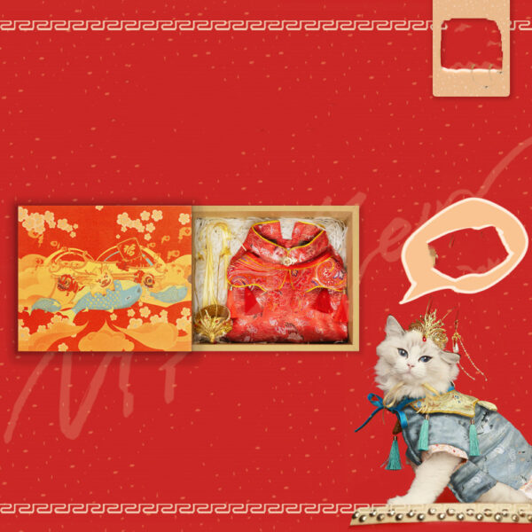 New Pet Hanfu Clothes Dress Gift Box - Image 4