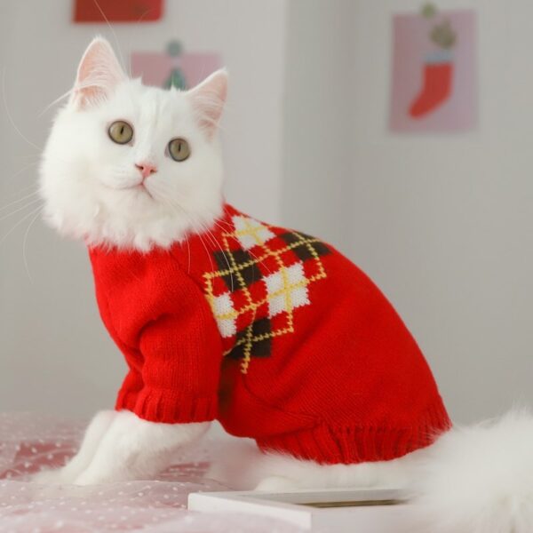 Clothes Fall Hair Fall Prevention Kitten Autumn And Winter Sweater - Image 5