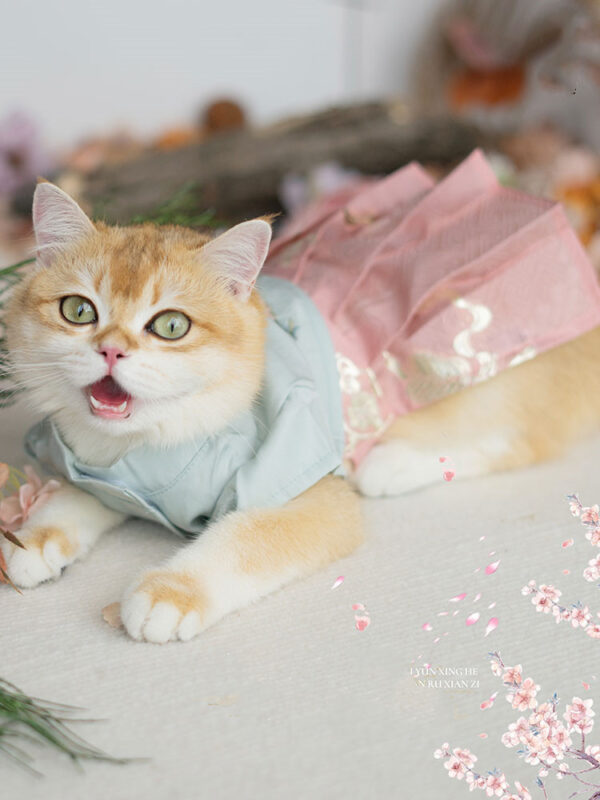 Pet Hanfu Cat Clothes Dog Skirt - Image 4