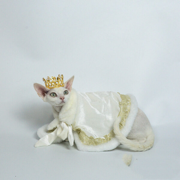 Cat Dog Pet Cape Muppet Teddy German Clothes - Image 3