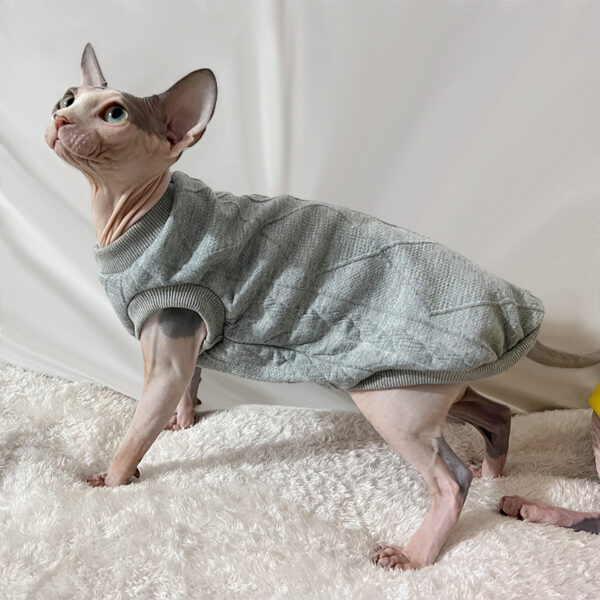 Fashion Personality New Hairless Cat Clothes - Image 3