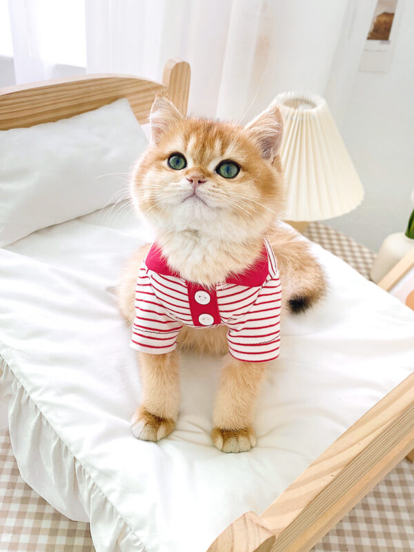 Cute Striped Polo Shirt Cat Clothes - Image 5