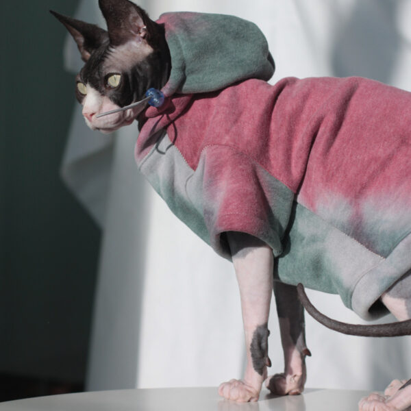 Pet Cats And Dogs Plus Velvet Warmth And Thick Tie-dye Hooded Sweater In Autumn And Winter - Image 6