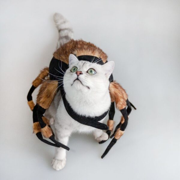 Halloween Pet Cat Dog Spider Costume Cool Cosplay - Image 4