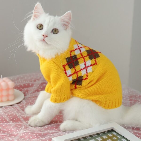 Clothes Fall Hair Fall Prevention Kitten Autumn And Winter Sweater - Image 2