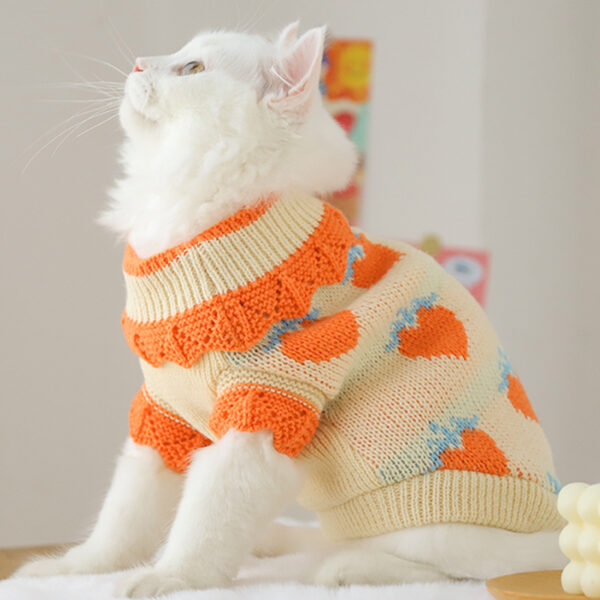 Cat Clothes For Fall Kittens To Prevent Shedding