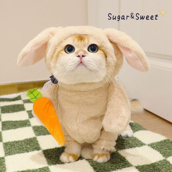 Cat Costume Rabbit Pet Leash Carrot Funny - Image 10