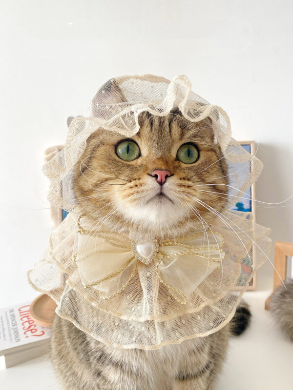 Netizens Cats Dogs Pets Lace Bibs Hats Clothes - Image 2